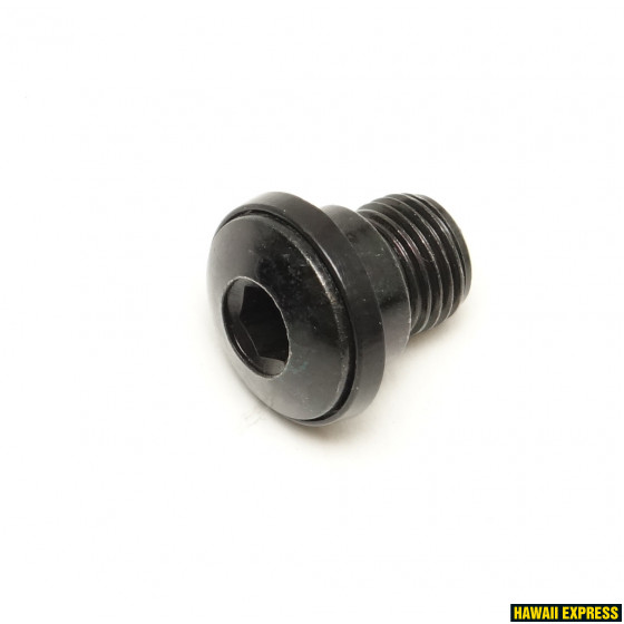 TAGAKÄIGUVAHETAJA KINNITUSPOLT