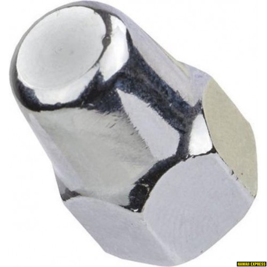 HUB NUT NEXUS SG-4R30 SET