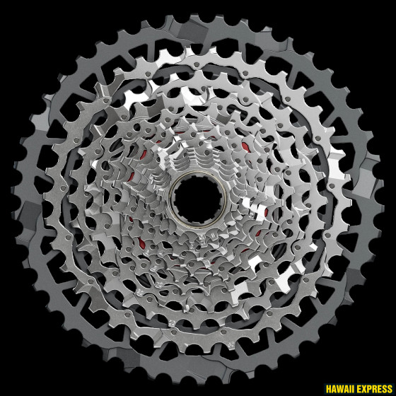 KASSETT 13s XG-1351 XPLR E1 10-46T XDR