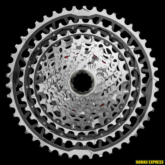 KASSETT 13s XG-1371 XPLR E1 10-46T XDR