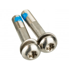 Bolts - Stainless T25 37mm (2 Pcs) - Flat Mount Bolts - Stainless T25 37mm (2 Pcs) - Flat Mount