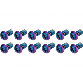 ROTOR BOLT KIT - Titanium T25, Rainbow (12 pcs) ROTOR BOLT KIT - Titanium T25, Rainbow (12 pcs)