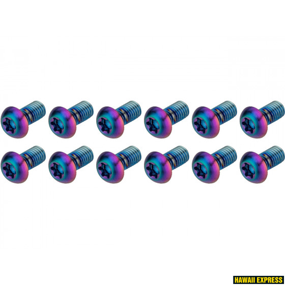 ROTOR BOLT KIT - Titanium T25, Rainbow (12 pcs)