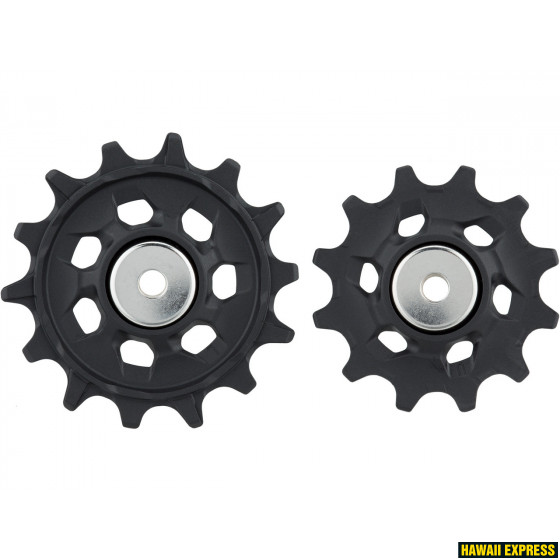 REAR DERAILLEUR PULLEY KIT NX/SX EAGLE REAR DERAILLEUR PULLEY KIT NX/SX EAGLE