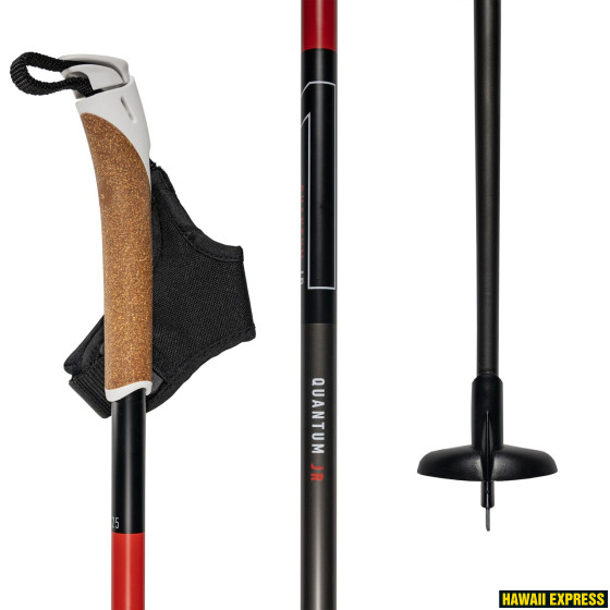 QUANTUM JUNIOR QUANTUM JUNIOR