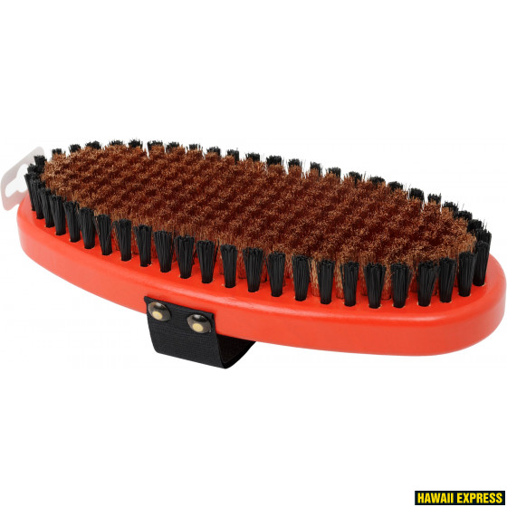 T158O Brush medium coarse Oval T158O Brush medium coarse Oval