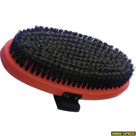 HARI TERAS HARI TERAS