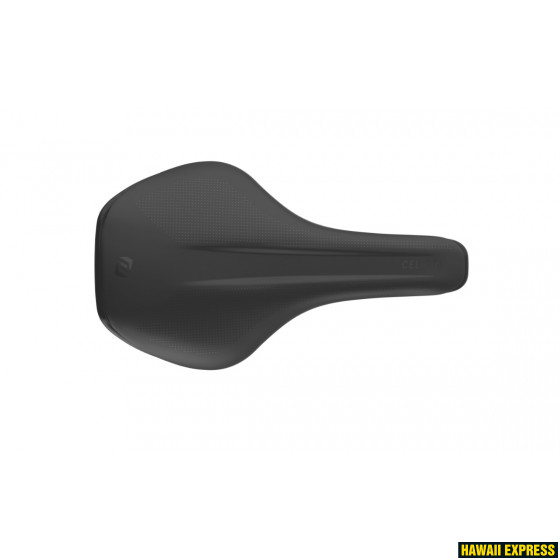 CELISTA R 1.5 CHANNEL CELISTA R 1.5 CHANNEL