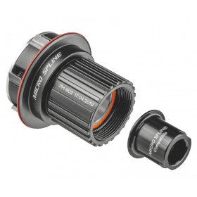 TIRRISÜDAMIK ratchet 12s Microspline for Silverton/ Revelstoke 1.0