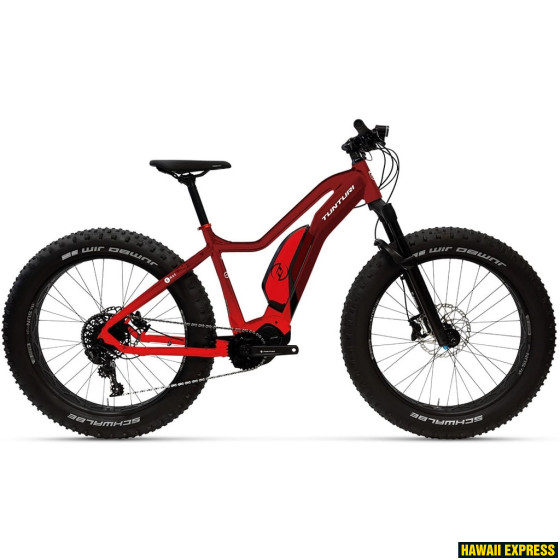 E-MAX SUSPENSION E-MAX SUSPENSION
